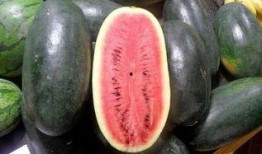 扒哥吃瓜 网红黑料,网红黑料大曝光